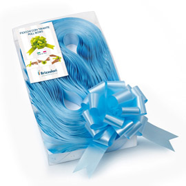 NASTRI STRIP 6800 - IN POLIPROPILENE - AZZURRO 06 - PER FIOCCO AUTOCOMPONIBILE - 31MM - DIAMETRO 13CM - BRIZZOLARI 88204