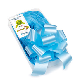 NASTRI STRIP 6800 - IN POLIPROPILENE - AZZURRO 06 - PER FIOCCO AUTOCOMPONIBILE - 50MM - DIAMETRO 20CM - BRIZZOLARI 88213