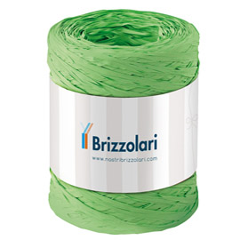 NASTRO RAFIA SINTETICA - VERDE CHIARO 10 - 5MMX200MT - BRIZZOLARI 88166
