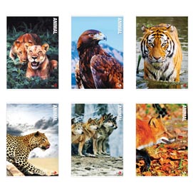 MAXIQUADERNO ANIMAL FANTASIA - A4 - 40+2 FOGLI - 80GR - 1RIGO C/MARGINE - BM 82528