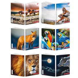 MAXIQUADERNO A4 36FG+2 100GR 1RIGO C/MARGINE WILD BE MORE SPECIAL 2020 BM 81926