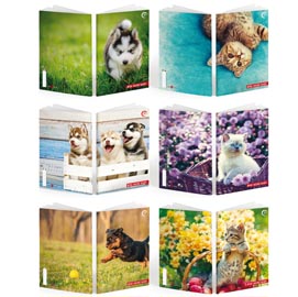 MAXIQUADERNO BABY BE MORE SPECIAL - A4 - 36+2 FOGLI - 100GR - RIGO DI 1A - BM 81933