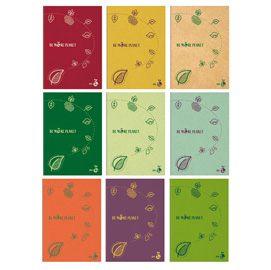 MAXIQUADERNO BE MORE PLANET - A4 - 38 FOGLI - 80 GR - 5 MM - C/MARGINE - BM 94500