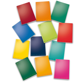 MAXIQUADERNO MONOCROMO - A4 - QUADRETTO 10MM - 42 FOGLI - 80GR - PIGNA 28935