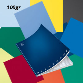 MAXIQUADERNO MONOCROMO - A4 - QUADRETTO 5MM - 38 FOGLI - 100GR - PIGNA 51306