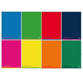 MAXIQUADERNO PIGNA COLOURS - A4 - 5 MM - 42 FOGLI - 80 GR - PIGNA 99829