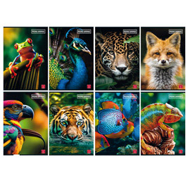 MAXIQUADERNO ANIMAL - A4 - 4 MM - C/MARGINE - 42 FOGLI - 80 GR - PIGNA 99871