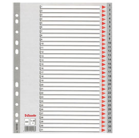 RUBRICA NUMERICA 31T.A4 Gr ESSELTE  100108 45645
