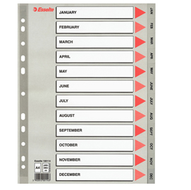 RUBRICA PP A4 Jan-Dec ESSELTE 45646