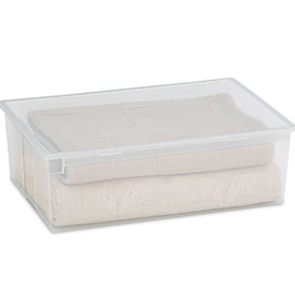 CONTENITORE MULTIUSO LIGHT BOX XL - 57,8X39,6X18,5 CM - 36 L - PLASTICA - TRASPARENTE - TERRY 64598