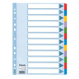 INTERCALARE MYLAR -12 TASTI COLORATI - A4- ESSELTE 86578
