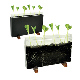 CONTENITORE ESPLORA IL SOTTOSUOLO - 30 X 19 X 4 CM - CWR 99838