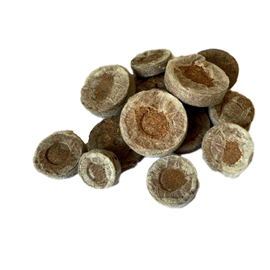 PASTIGLIA IN TORBA - DIAMETRO 3,6 CM - CWR - CONF. 36 PEZZI 99836