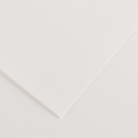 FOGLIO COLORLINE - 70X100 CM - 220 GR - BIANCO - CANSON 85566
