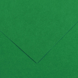 FOGLIO COLORLINE - 70X100 CM - 220 GR - VERDE VIVO - CANSON 85587