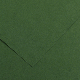 FOGLIO COLORLINE - 70X100 CM - 220 GR - VERDE ABETE - CANSON 85588