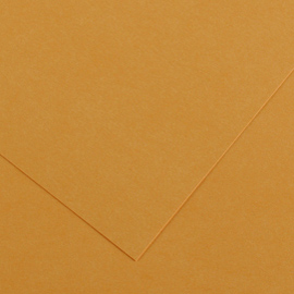 FOGLIO COLORLINE - 70X100 CM - 220 GR - CUOIO - CANSON 85589