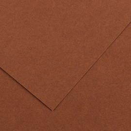 FOGLIO COLORLINE - 70X100 CM - 220 GR - NOCCIOLA - CANSON 85590