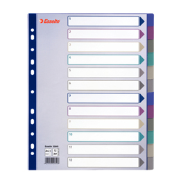 SEPARATORE - 12 TASTI - PP TRASLUCIDO - A4 MAXI - 24,5X29,7 CM - MULTICOLORE - ESSELTE 49633