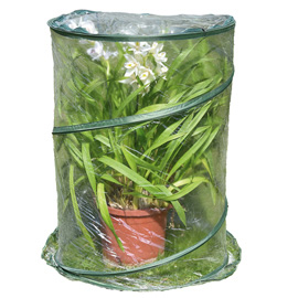 SERRA POP-UP ANTHURIUM - 70 X 100 CM - TRASPARENTE - VERDEMAX 99321
