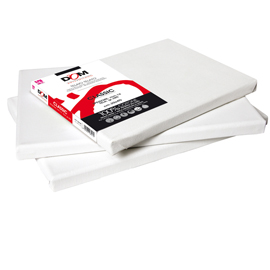 TELA PITTURA CLASSIC - 30 X 40 CM - BIANCO - DOM 55461