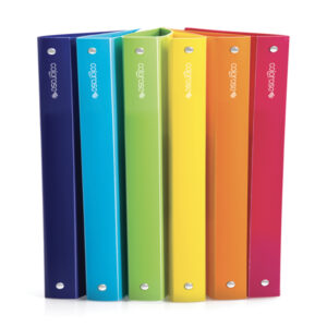 RACCOGLITORE 4R COLOROSA - 245X307 MM - DIAMETRO 30 MM - COLORI ASSORTITI - RI.PLAST 89359