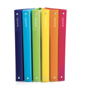 RACCOGLITORE 4R COLOROSA - 245X307 MM - DIAMETRO 15 MM - COLORI ASSORTITI - RI.PLAST 89358