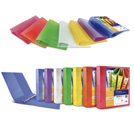 RACCOGLITORE PERSONALIZZABILE MYTO TI - 4 ANELLI A D 17 MM - DORSO 2,5 CM - 22X30 CM - COLORI ASSORTITI - SEI ROTA 80381