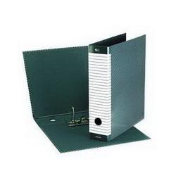 REGISTRATORE DELSO LINE G15 - DORSO 8 CM - PROTOCOLLO 23X33 CM - GRIGIO - ESSELTE 50968