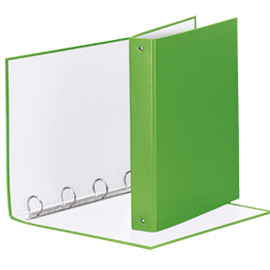 RACCOGLITORE MEETING - 4 ANELLI TONDI 30 MM - DORSO 4 CM - 22X30 CM - PPL - VERDE VIVIDA - ESSELTE 74739