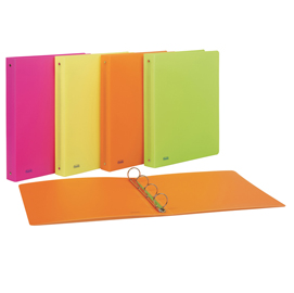 RACCOGLITORE - PPL - 22X30 MM - 4R - DORSO 30 - COLORI ASSORTITI -FAVORIT 86327