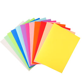 CARTELLINE SEMPLICI FOREVER  - 220 GR - 24X32 CM - MIX 5 COLORI - EXACOMPTA - CONF. 100 PEZZI 71853