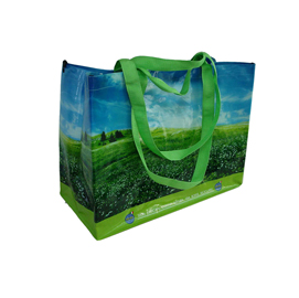BORSA RIPIEGABILE - PER LA SPESA - CON GANCI - PP - 38 X 43 X 20 CM - BERNI GROUP 95304