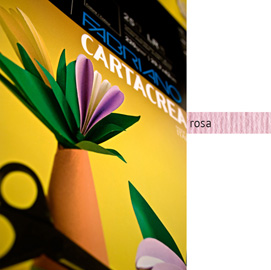 CARTONCINO CARTACREA - 35X50CM - 220GR - ROSA 116 - FABRIANO - BLISTER 10 FOGLI 37244