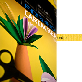 CARTONCINO CARTACREA - 35X50CM - 220GR - CEDRO - FABRIANO -  BLISTER 10 FOGLI 82583