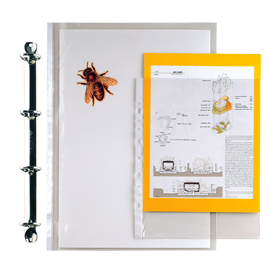 BUSTE FORATE ERCOLE - 23X33 CM - PVC - A4 - TRASPARENTE - SEI ROTA - CONF. 25 PEZZI 25994