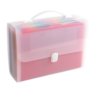 CLASSIFICATORE VALIGETTA CON MANIGLIA - CRISTALLO - 33X29CM - 24 TASCHE - EXACOMPTA 89314
