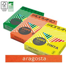 CARTA COPY TINTA - A4 - 80 GR - COLORI  FORTI ARAGOSTA - FABRIANO - CONF. 500 FOGLI 57165