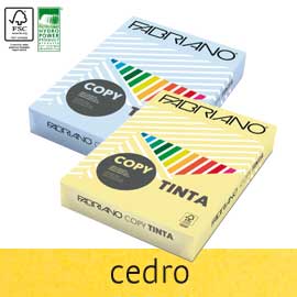 CARTA COPY TINTA - A4 - 80 GR - COLORE TENUE CEDRO - FABRIANO - CONF. 500 FOGLI 57179