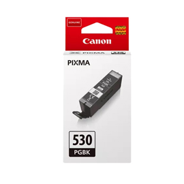 CANON CARTUCCIA INK NERO PIGMENTI PGI-530BK CANPGI530BK