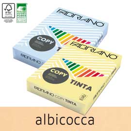 CARTA COPY TINTA - A4 - 80 GR - COLORE TENUE ALBICOCCA - FABRIANO - CONF. 500 FOGLI 57182