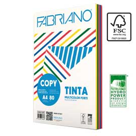 CARTA COPY A3 Gr. 80 250FG. 5 Colori TENUI assortiti FABRIANO 67746