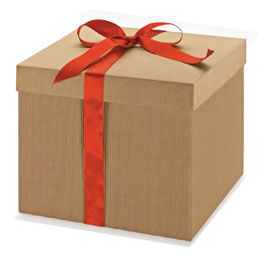 SCATOLA REGALO IN CARTONE - CON COPERCHIO - AVANA - 300 X 300 X 240CM - SCOTTON 67437