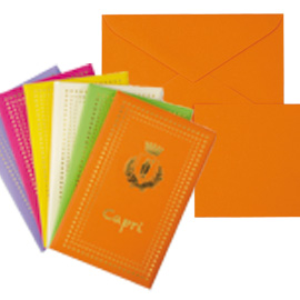 TASCHETTA 10 BIGLIETTI + 10 BUSTE - CAPRI - COLORI ASSORTITI - 9 X 14CM - REX SADOCH 67576