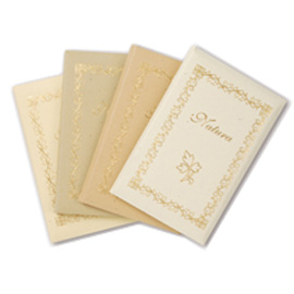 TASCHETTA 10 BIGLIETTI + 10 BUSTE - NATURA - COLORI ASSORTITI - 9 X 14CM - REX SADOCH 67414