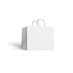 SHOPPER  IN CARTA GOMMATA LUCIDA  Bco Fto 22 X8 X16