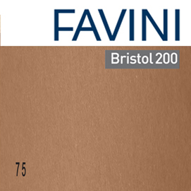 CARTONCINO BRISTOL COLOR - 70 X 100 CM - 200 GR - MARRONE 75 - FAVINI - CONF. 10 PEZZI 81748