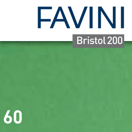 CARTONCINO BRISTOL COLOR - 50 X 70 CM - 200 GR - VERDE 60 - FAVINI - CONF. 25 PEZZI 79314