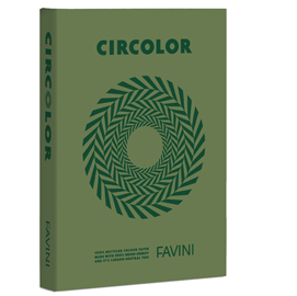 CARTA CIRCOLOR - A4 - 80 GR - VERDE - FAVINI - CONF. 500 FOGLI 94634