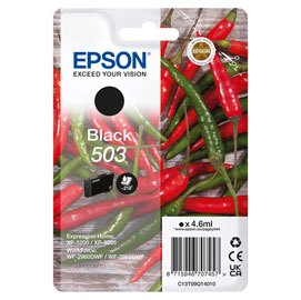 EPSON - CARTUCCIA - NERO - 604 - C13T09Q14010 - 4,6 ML EPST09Q14010